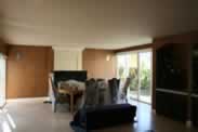Formal Living Room Walls Faux Finish
